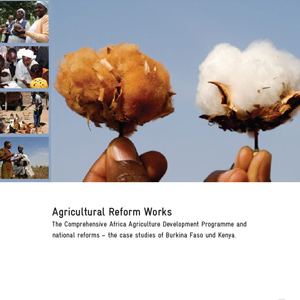 Studie: Agricultural Reform Works
